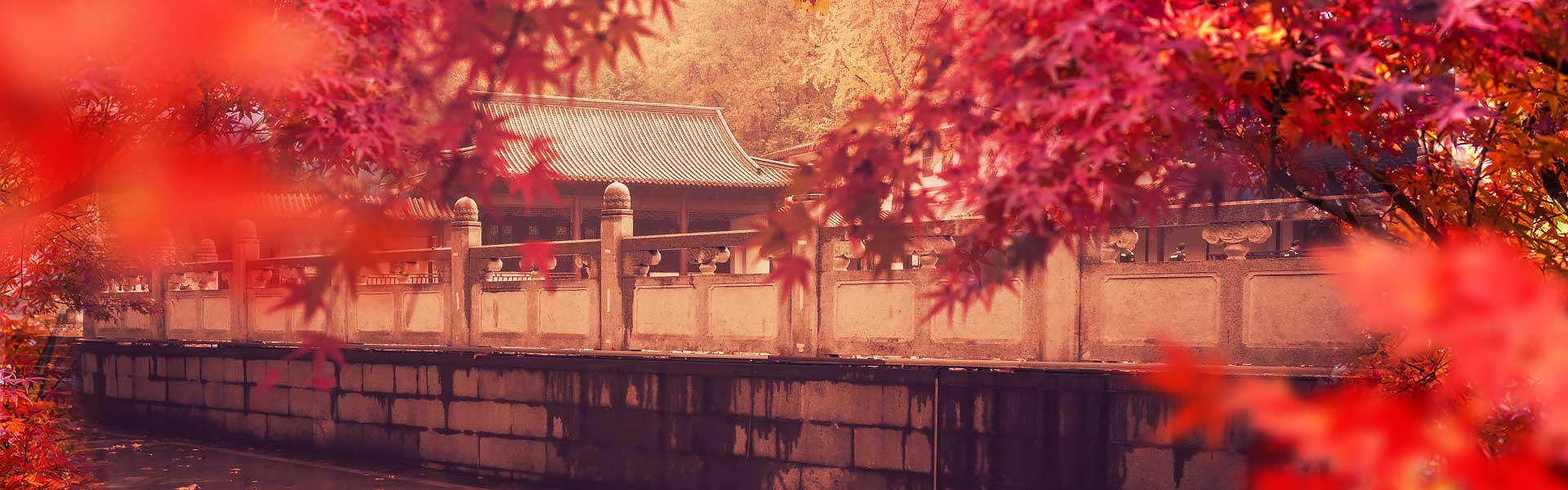 https://www.gonanjingchina.com/sites/default/files/fall-in-love-with-nanjing-autumn-in-nanjing-01_0.jpg