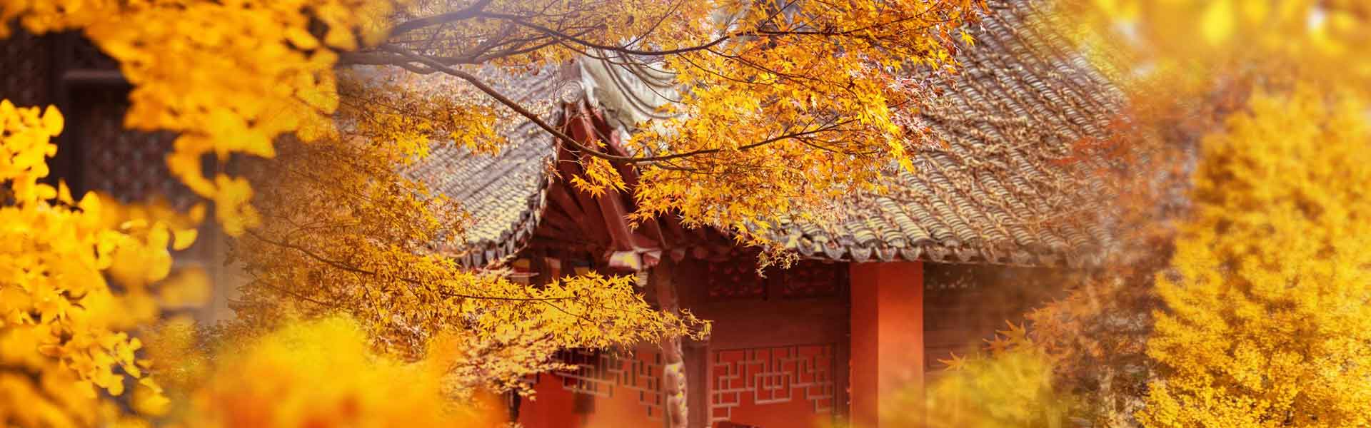 https://www.gonanjingchina.com/sites/default/files/fall-in-love-with-nanjing-autumn-in-nanjing-03.jpg