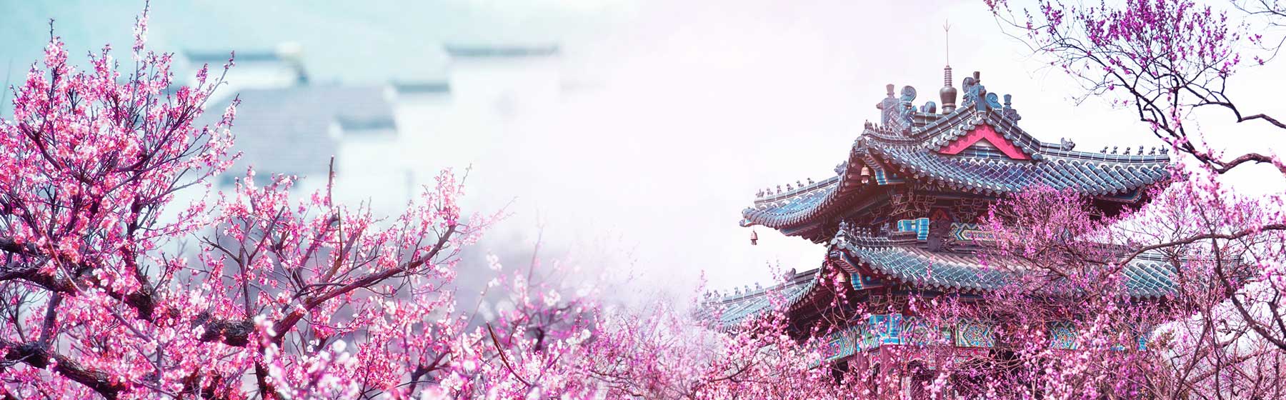 https://www.gonanjingchina.com/sites/default/files/have-a-date-with-spring-in-nanjing.jpg