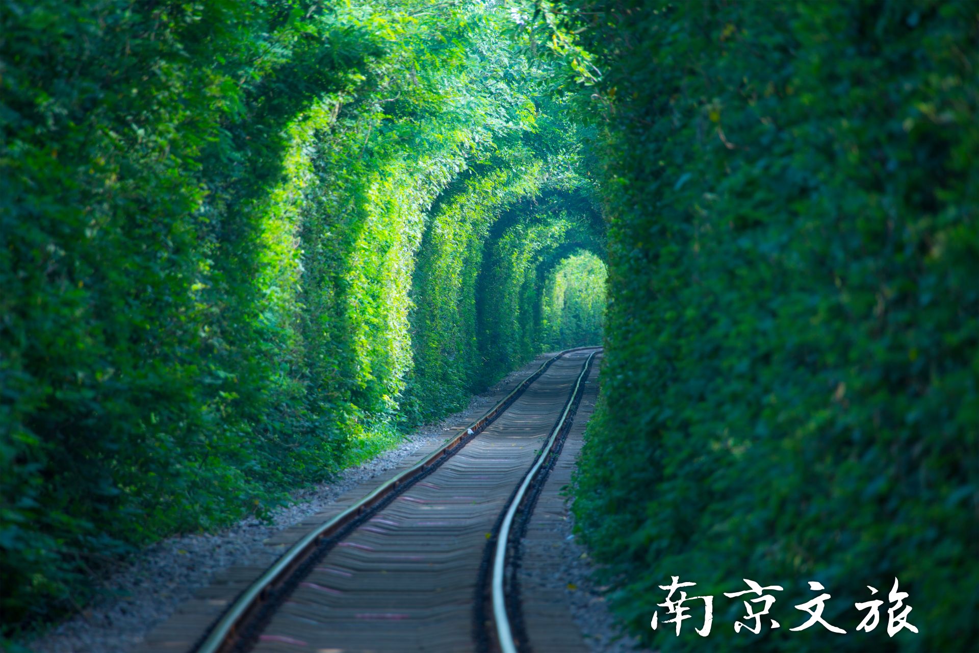 Love Tunnel, Nanjing