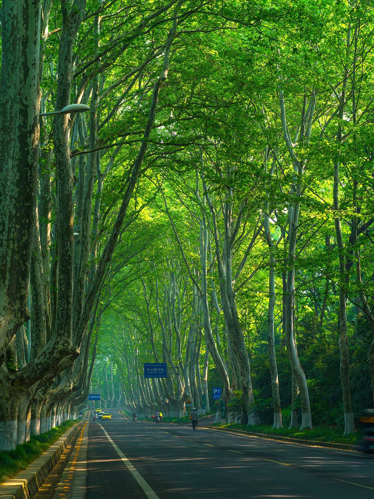 Nanjing Impression 1