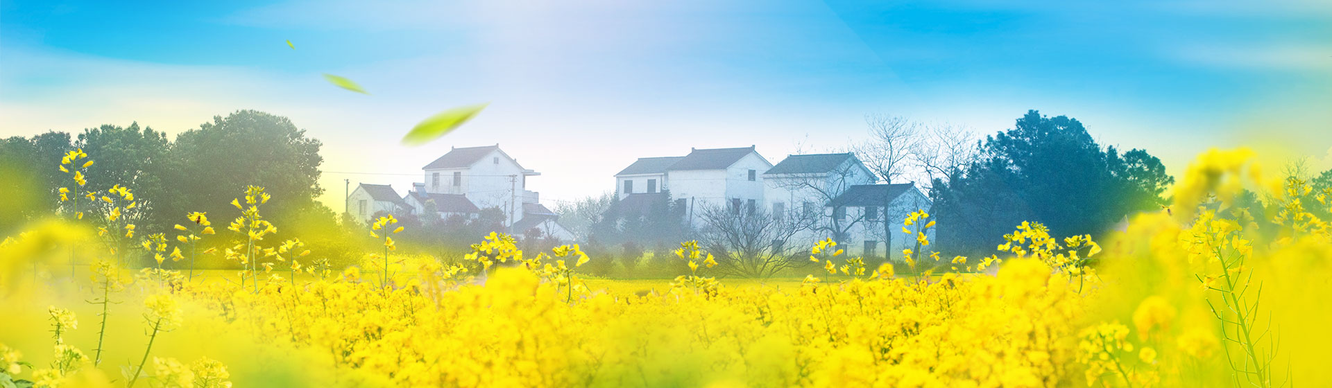 https://www.gonanjingchina.com/sites/default/files/revslider/image/have-a-date-with-spring-in-nanjing-4.jpg