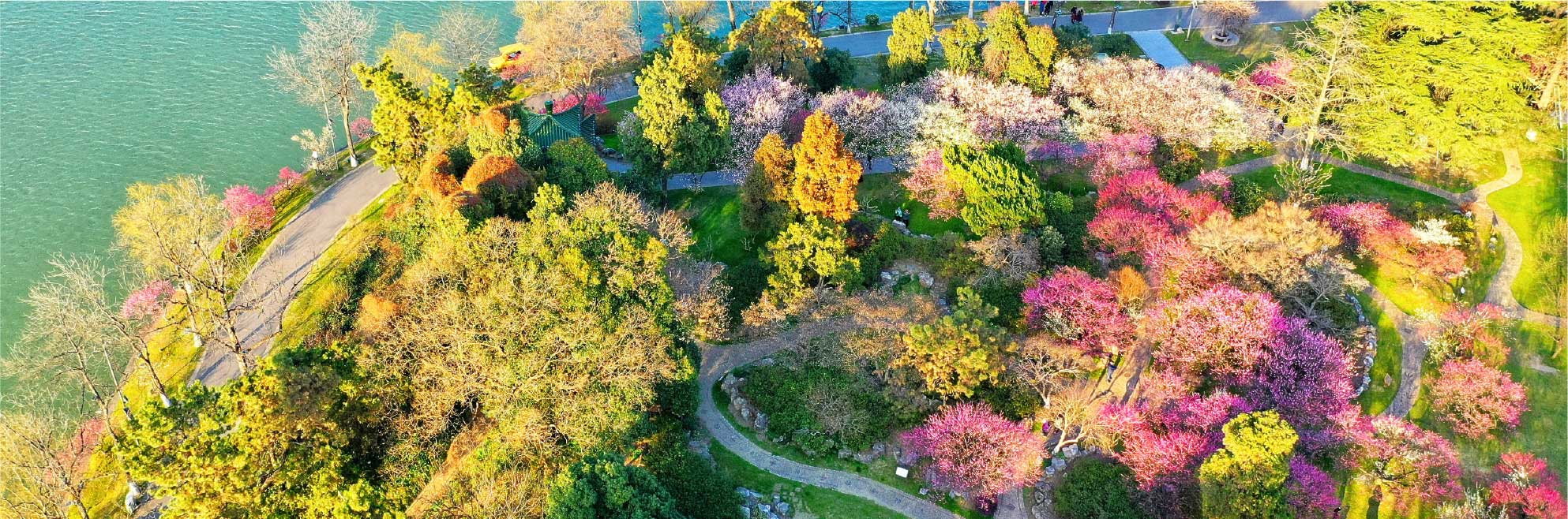 https://www.gonanjingchina.com/sites/default/files/revslider/image/nanjing-spring-2023.jpg
