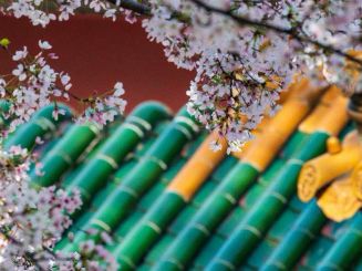 What's New in Nanjing China