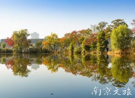 Qianhu Lake in Nanjing Botanical Garden Mem. Sun Yat-Sen